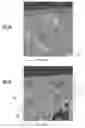 Fig. 03 - Mold compositions and methods for casting titanium and titanium aluminide alloys