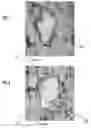 Fig. 04 - Mold compositions and methods for casting titanium and titanium aluminide alloys