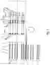 Fig. 02 - METHODS AND SYSTEMS FOR PRODUCTION OF MESH FROM WIRES OR RODS, WITH CHANGEABLE STEPS FOR LONGITUDINAL AND TRANSVERSE RODS