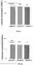 Fig. 06 - Reinforced Composites and Methods for Their Manufacture