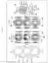 Fig. 83 - LENS MODULE, METHOD OF PRODUCING LENS MODULE, IMAGING DEVICE, AND ELECTRONIC DEVICE