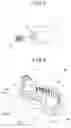 Fig. 04 - Steering lock device