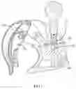 Fig. 05 - Clamping device for handlebar