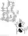 Fig. 06 - Complex composite particles and methods