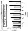 Fig. 08 - Complex composite particles and methods