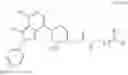 Fig. 101 - Toll-like receptor antagonist compounds and methods of use