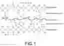 Fig. 02 - Nacre-mimetic environmentally friendly composite membrane with “interpenetrating petal” structure and preparation method thereof