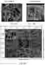 Fig. 22 - Janus membranes via atomic layer deposition
