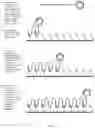 Fig. 08 - Method for identification and enumeration of nucleic acid sequence, expression, copy, or DNA methylation changes, using combined nuclease, ligase, polymerase, and sequencing reactions