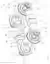 Fig. 02 - Thread-reinforced joint device and coupling device for a vehicle drive