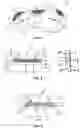 Fig. 02 - A TRANSVERSE SEGMENT FOR A DRIVE BELT FOR A CONTINUOUSLY VARIABLE TRANSMISSION