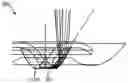 Fig. 01 - Solid state light emitter lighting assembly and a luminaire