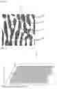 Fig. 02 - Diffractive optical element and light irradiation apparatus
