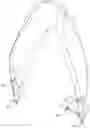Fig. 01 - Firearm holding apparatus