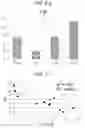 Fig. 06 - Platelet aggregation analysis method, platelet aggregation analysis device, program for analyzing platelet aggregation, and platelet aggregation analysis system