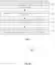 Fig. 08 - Defect inspection method and apparatus using micro lens matrix