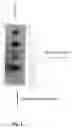 Fig. 02 - Afterglow detection device and afterglow detection method