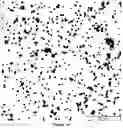 Fig. 02 - Metallic nanoparticle synthesis with carbohydrate capping agent