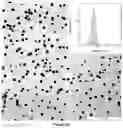 Fig. 06 - Metallic nanoparticle synthesis with carbohydrate capping agent