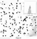 Fig. 07 - Metallic nanoparticle synthesis with carbohydrate capping agent