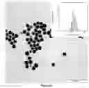Fig. 08 - Metallic nanoparticle synthesis with carbohydrate capping agent