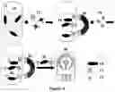 Fig. 22 - Metallic nanoparticle synthesis with carbohydrate capping agent
