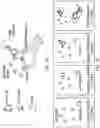 Fig. 22 - Magnetic electrochemical sensing