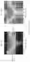 Fig. 09 - Radar device and control method therefor