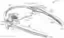 Fig. 01 - Eyeglasses with interchangeable lenses