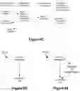 Fig. 32 - Devices, methods, and graphical user interfaces for touch input processing