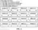 Fig. 06 - Memory pool allocation for a multi-core system