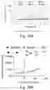 Fig. 16 - Apparatus, system, and method for cross-platform data processing