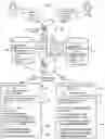 Fig. 02 - CONTEXTUALIZING KNOWLEDGE PANELS