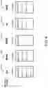 Fig. 06 - Identifying codemixed text