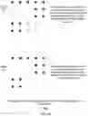 Fig. 05 - Dynamic spatial clustering construction and visualization system for office space planning and optimization