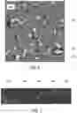 Fig. 05 - Wettability estimation by differential multi-phase simulation