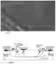 Fig. 02 - System for detecting hardware trojans in integrated circuits