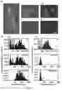 Fig. 13 - Method for quantitative measurement of a biomarker by in situ immunofluorescence and uses thereof