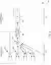 Fig. 04 - Training neural networks using mixed precision computations