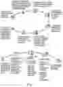 Fig. 02 - FINANCIAL CARD TRANSACTION SECURITY AND PROCESSING METHODS