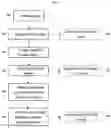 Fig. 02 - Method for measuring and modeling spaces using markerless augmented reality