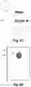 Fig. 10 - Learning tool and method