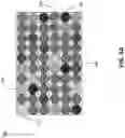 Fig. 06 - Calibrating brightness variation in a display