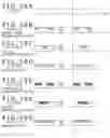 Fig. 40 - Semiconductor integrated circuit, self-luminous display panel module, electronic apparatus, and method for driving power supply line