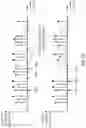 Fig. 15 - Noise filling concept