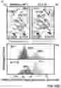 Fig. 40 - Systems and Methods for Multi-Scale, Annotation-Independent Detection of Functionally-Diverse Units of Recurrent Genomic Alteration
