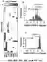 Fig. 46 - Systems and Methods for Multi-Scale, Annotation-Independent Detection of Functionally-Diverse Units of Recurrent Genomic Alteration