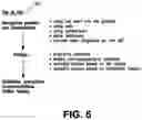 Fig. 06 - Method, apparatus, and computer readible media for artificial intelligence-based treatment guidance for the neurologically impaired patient who may need neurosurgery