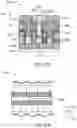Fig. 37 - Selective removal process to create high aspect ratio fully self-aligned via