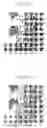 Fig. 07 - Printed circuit board and electronic equipment